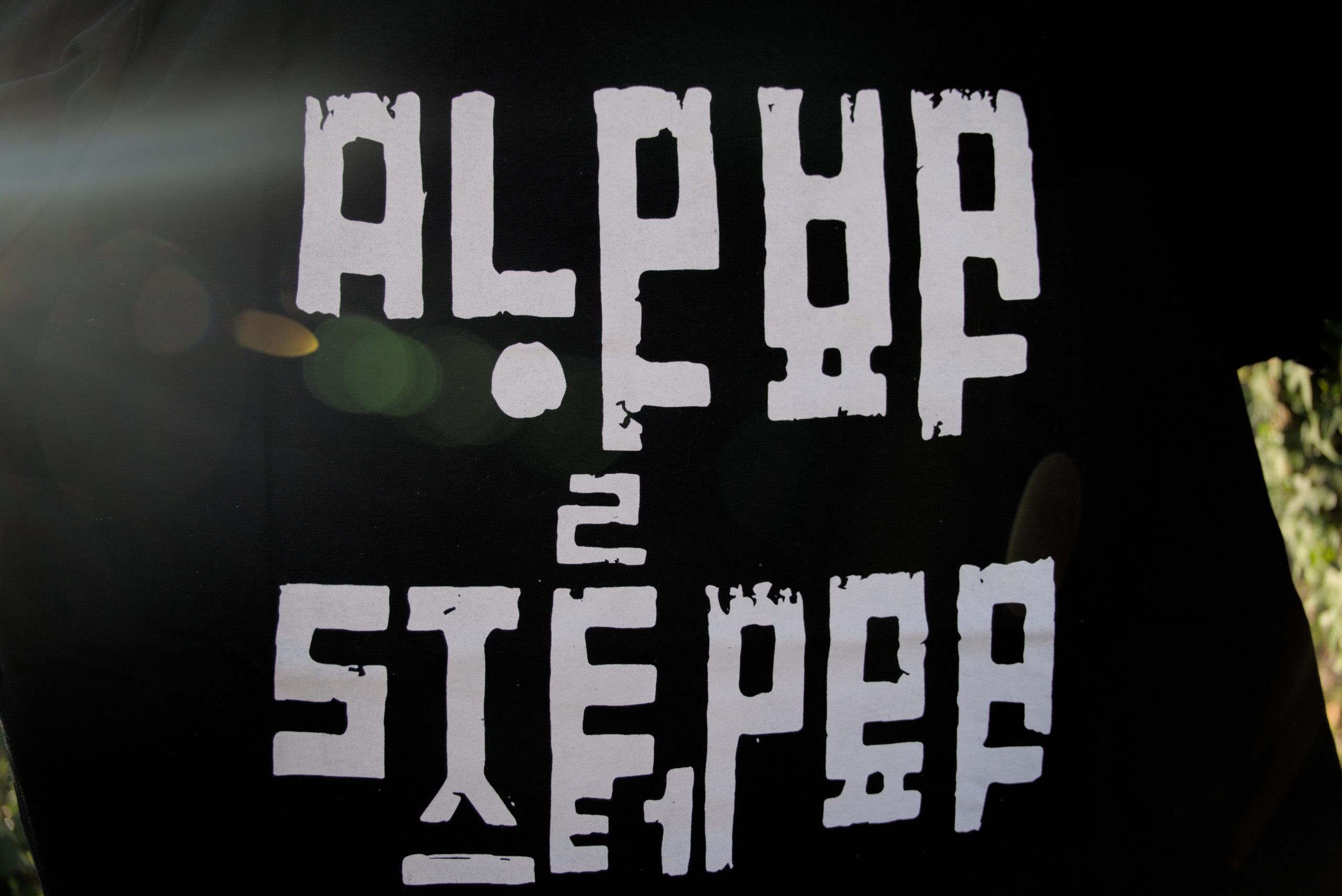 Alpha Steppa Organic T-Shirt (Men's/Unisex) [BLACK]