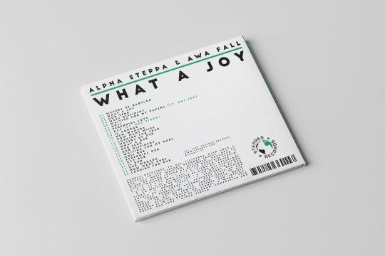 英2LP Alpha Steppa, Awa Fall What A Joy (2LP) ASLP01617 Steppas UK /00400 713IxsPcVCL._UF1000,1000_QL80_.jpg