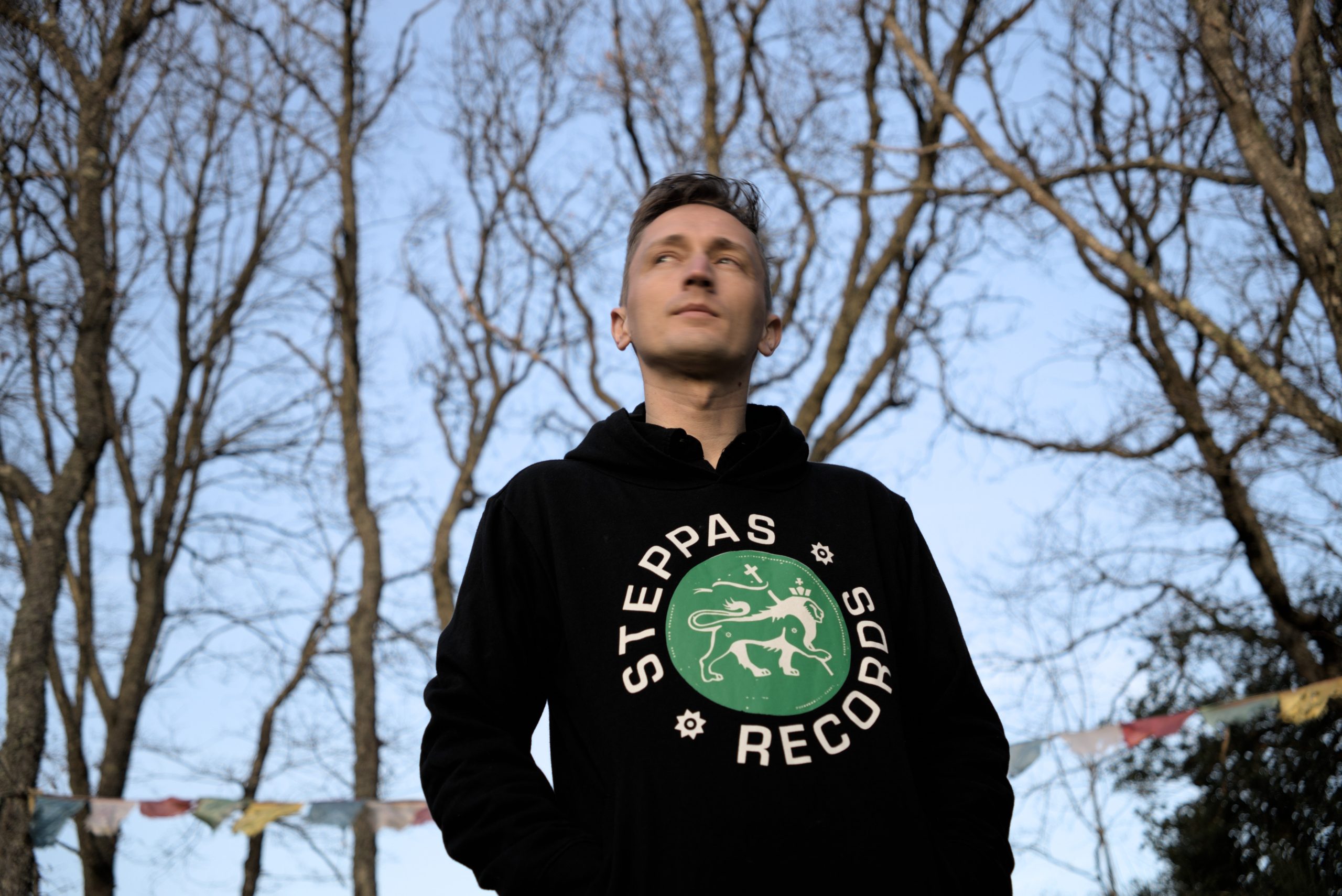 Steppas "Lion" Organic Hoodie (Men's/Unisex) [GREEN ON BLACK]