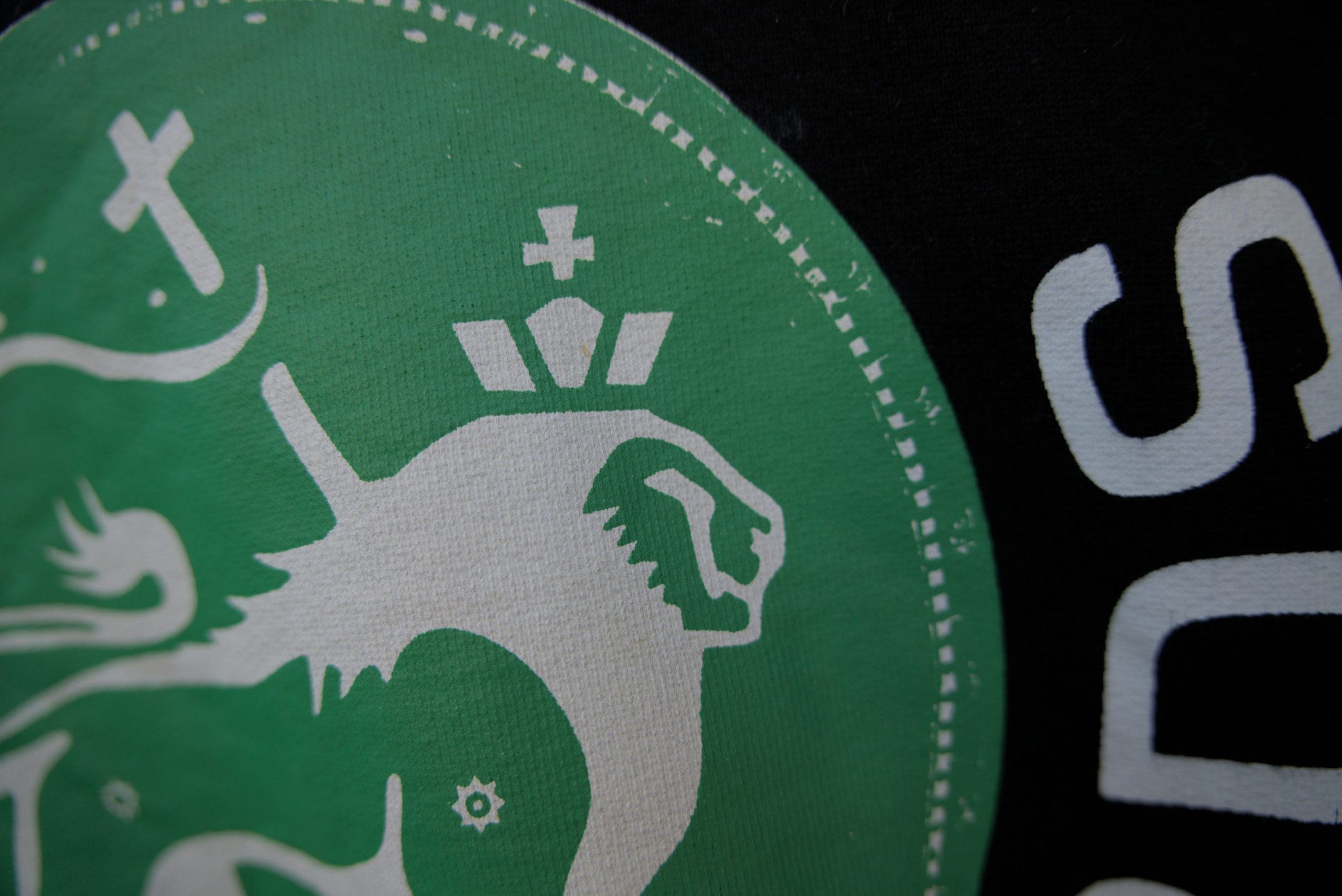 Steppas "Lion" Organic Hoodie (Men's/Unisex) [GREEN ON BLACK]