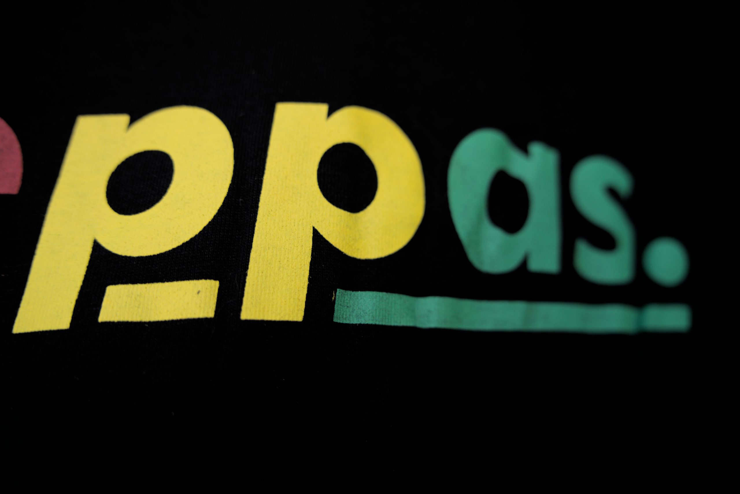 Steppas "Red-Yellow-Green" Organic T-Shirt (Men's/Unisex) [BLACK]