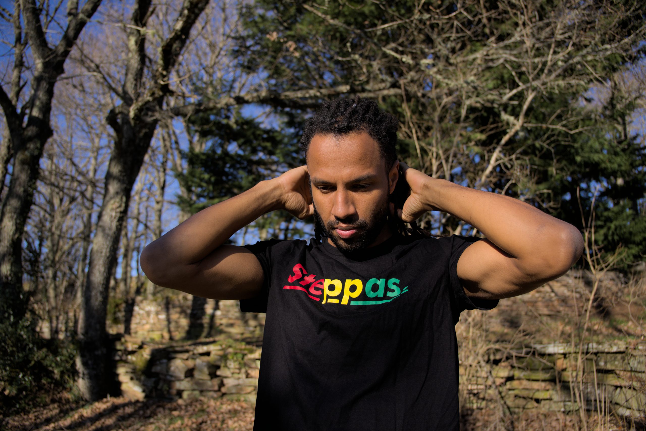 Steppas "Red-Yellow-Green" Organic T-Shirt (Men's/Unisex) [BLACK]