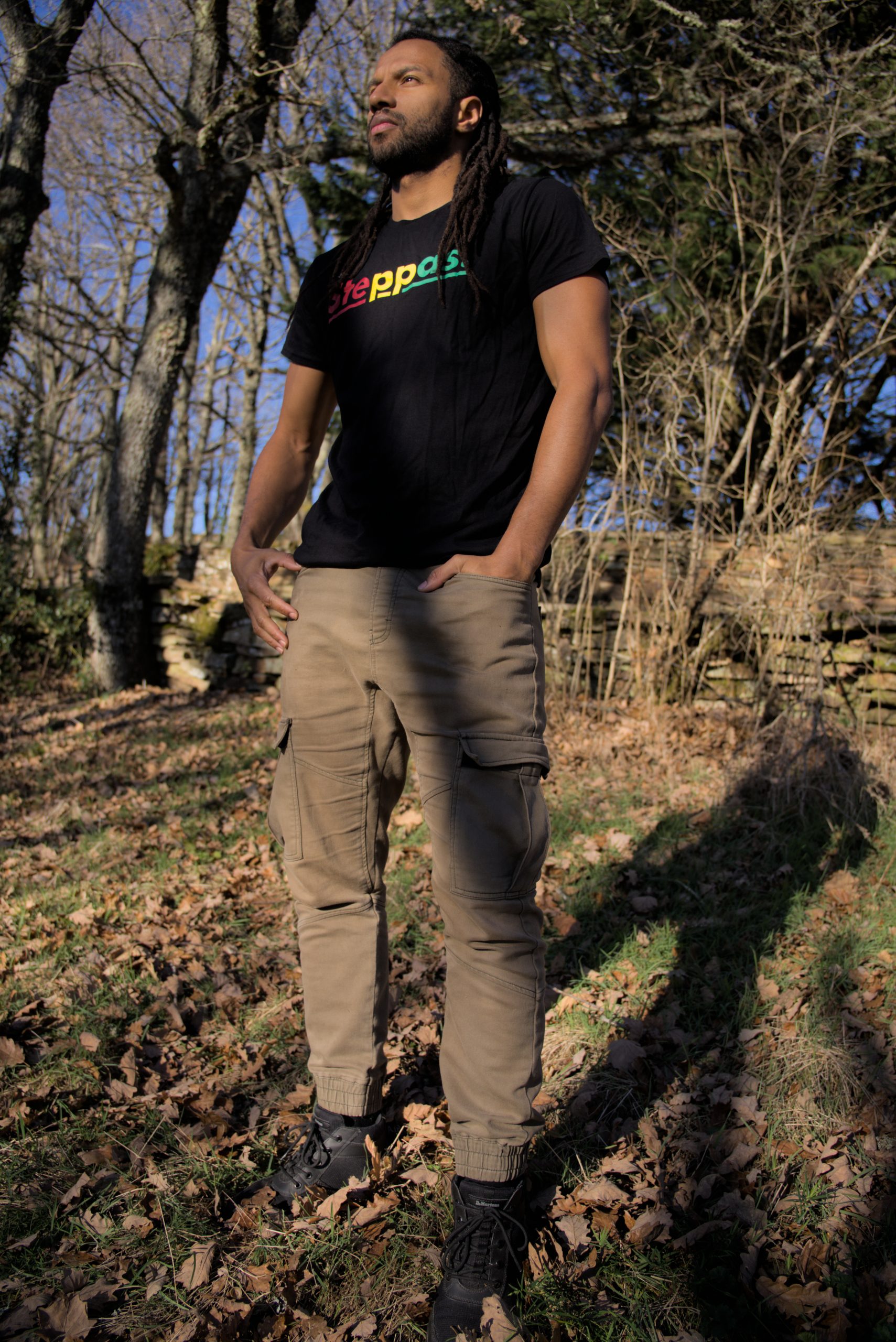 Steppas "Red-Yellow-Green" Organic T-Shirt (Men's/Unisex) [BLACK]