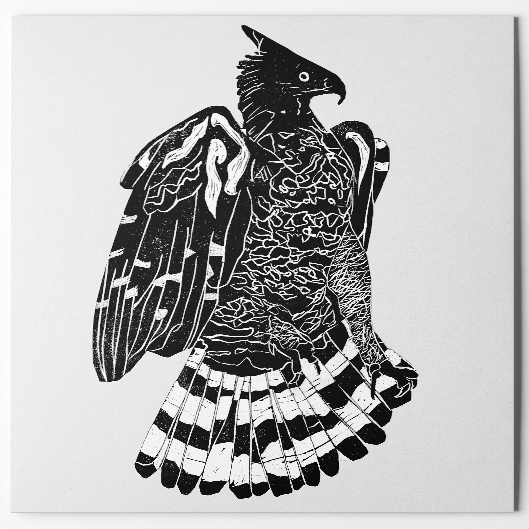 Alpha Steppa x Nai-Jah - Crowned Eagle (2xLP)